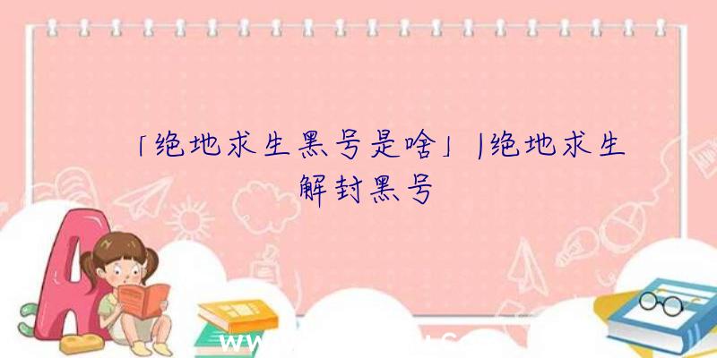 「绝地求生黑号是啥」|绝地求生